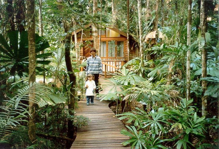 Queensland - Daintree Wilderness Lodge 