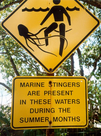 Queensland - spiagge nel Daintree Rainforest