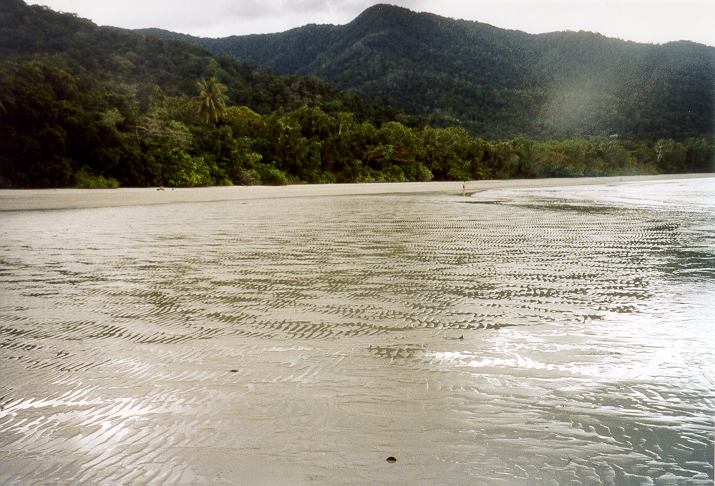 Queensland - la costa del Daintree Rainforest