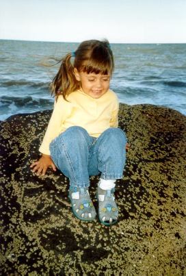 le spiagge a Nord di Cairns fino a Cape Tribulation