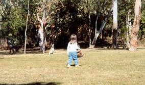 Maeva si avvicina ai canguri...