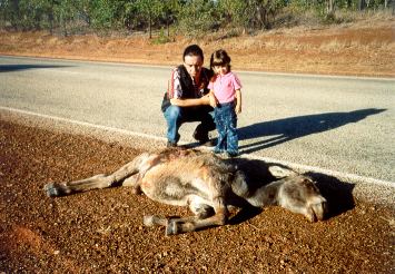 attenzione agli animali lungo le strade