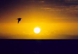 Tramonto all'isola di Tokoriki