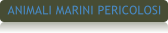 ANIMALI MARINI PERICOLOSI