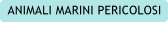 ANIMALI MARINI PERICOLOSI