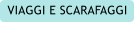 VIAGGI E SCARAFAGGI