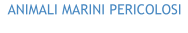 ANIMALI MARINI PERICOLOSI