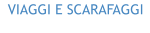 VIAGGI E SCARAFAGGI