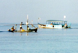 tipiche imbarcazioni Maldiviane ( a dx un Dhoni )