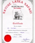 attestato di safari con l'elefante....( turisticissimo ma pur sempre un ricordo ! )