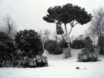 Lungotevere Salvo D'Acquisto