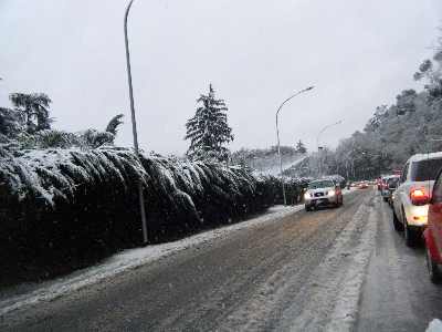 Lungotevere dell'Acqua Acetosa