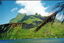 la baia di Cook a Moorea