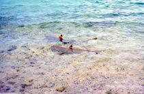 squaletti sulla riva del k.o.s.