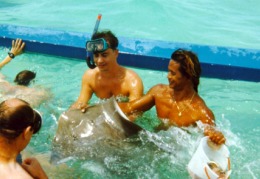 ...durante lo shark-feeding un pò di xray-feeding ! :-)...ovvero Julie: la razza invadente !