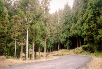 le strade montane dell'isola