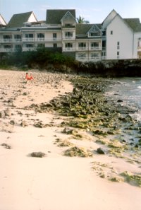 Boucan Canot: lato Nord protetto dal reef