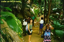 Praslin
