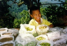 un bambino che vende legumi nelle montagne del Nord