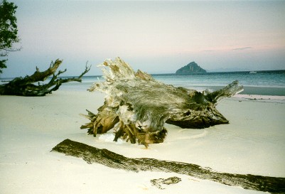Tong Cape - spiaggia di fronte all'ex Phi Phi Palm Beach, sullo sfondo: Mosquito Island.