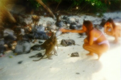 Turisti e scimmie a YON-KA-SEM BAY