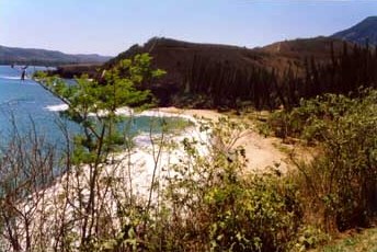 Baia delle tartarughe