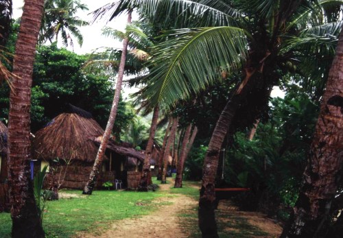 Kadavu