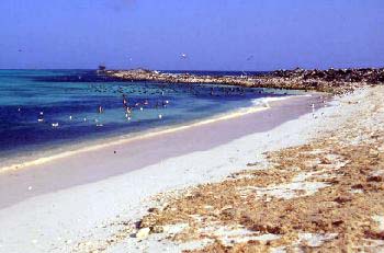 Vista dall' Accampamento