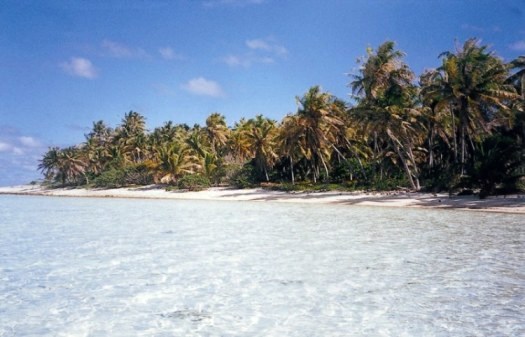 Laguna Blu ( Rangiroa )