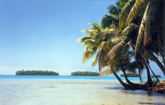 Blue Lagoon ( Rangiroa )