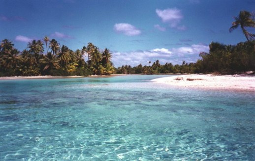 Ile aux Recife  ( Rangiroa )
