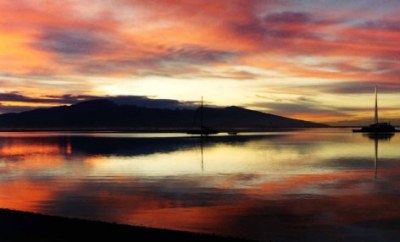 Aurora polinesiana ( Moorea )