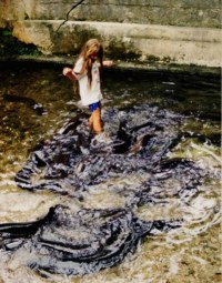 ...ancora le sacre anguille a Huahine