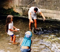 Anguille sacre a Huahine