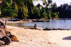 ...basta poco per vivere ! :-D