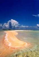 ...le sabbie rosa a Rangiroa