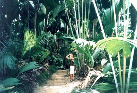 Vallee de Mai