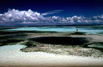 Anse Source d'argent