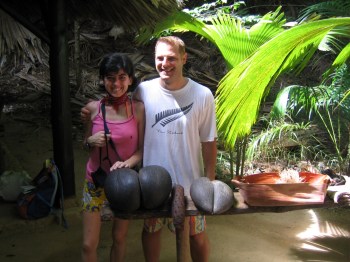 Vallee de Mai e Coco de Mer