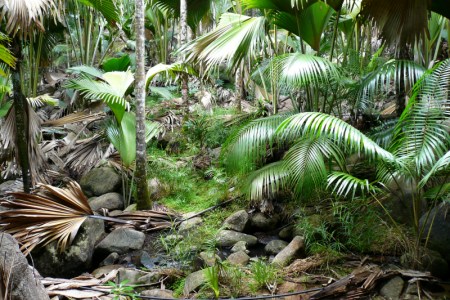 Cliccare sopra per ingrandire