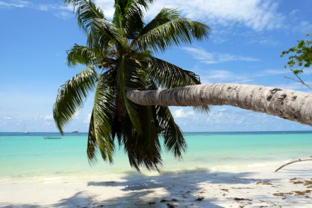 Cliccare sopra per ingrandire