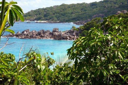 Cliccare sopra per ingrandire