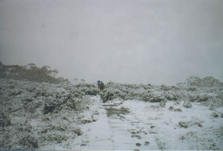 ...il passo innevato