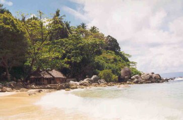 kata noi beach
