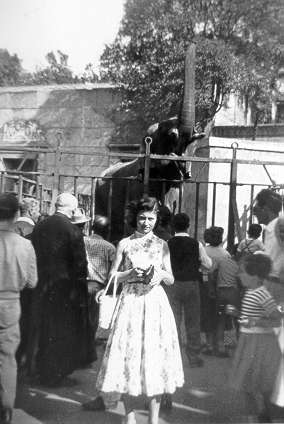 1957: lo Zoo di Roma